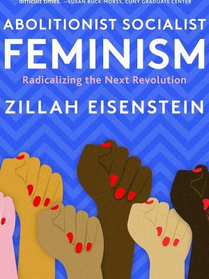 Abolitionist Socialist Feminism: Radicalizing the