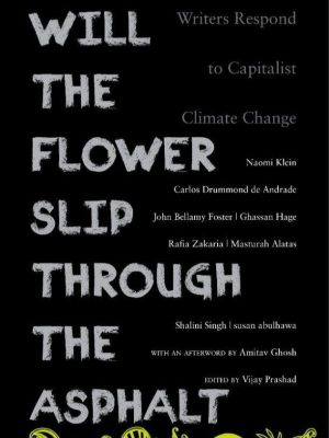 Will the Flower Slip Through the Asphalt - Writers