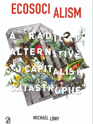EcoSocialism A Radical Alternative to Capitalist Catastrophe