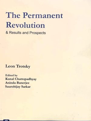 The Permanent Revolution